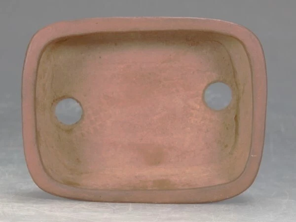 Japanese bonsai pot Tokoname ware bonsai pot Shipped from Japan via FedEx - Image 3 of 4