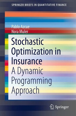 Stochastic Optimization in Insurance A Dynamic Programming Approach Taschenbuch
