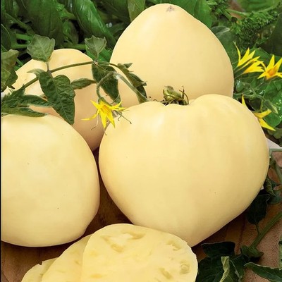 Tomatensamen (7+ Samen); deutsche Sorte ''Reinhard's White Heart'', aus 2025