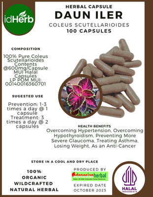 [idHerb] 100-800 Kapseln Bemalte Brennnessel Coleus Scutellarioides WildCrafted