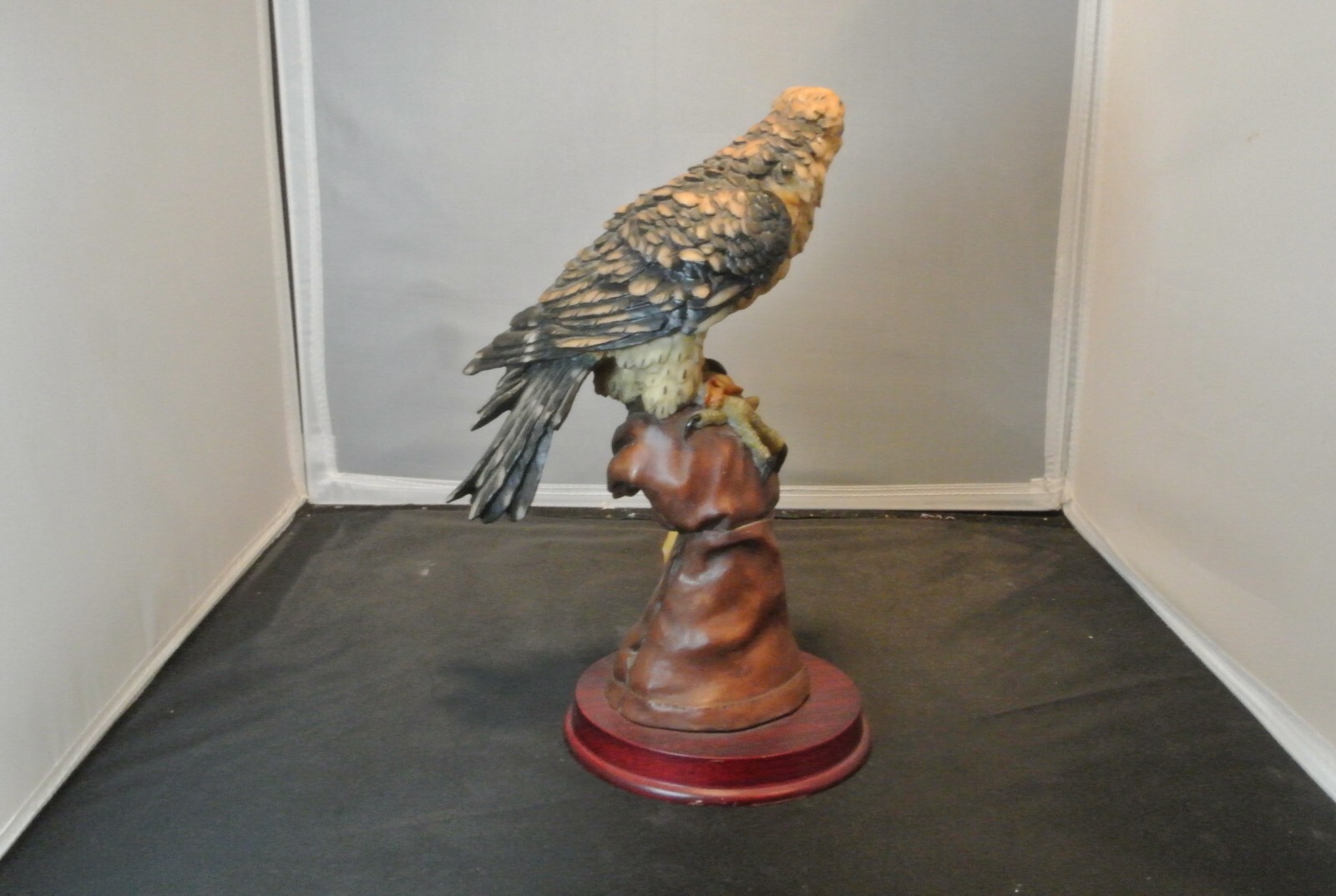 Picture 3 of 8