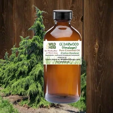 PURE CEDARWOOD (Himalayan) ORGANIC ESSENTIAL OIL | USA Seller | .5 - 128 oz 