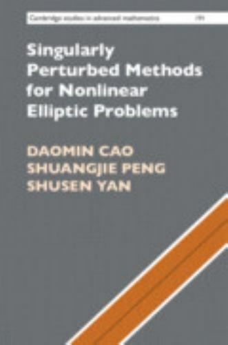 Singularly Perturbed Methods for Nonlinear Elliptic Problems Cao Peng Yan