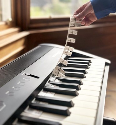 Removable Silicone Piano Keyboard Note Strips Fits Full 88Key Keyboards
