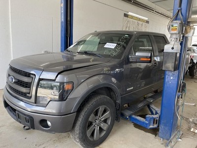 Seat Belt Front Bench 40/20/40 Passenger Fits 09-14 FORD F150 PICKUP 985820
