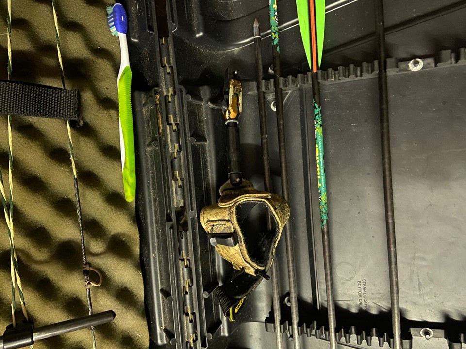 hoyt compound bow eBay