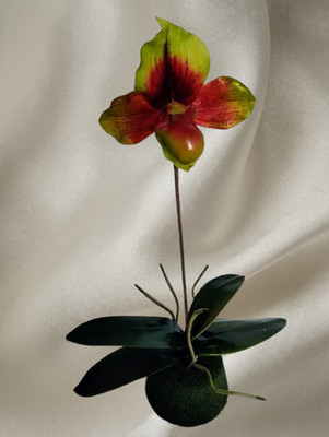 Artificial Paphiopedilum Lady Slipper Orchid