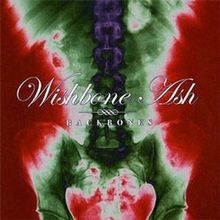 Backbones von Wishbone Ash | CD | Zustand gut
