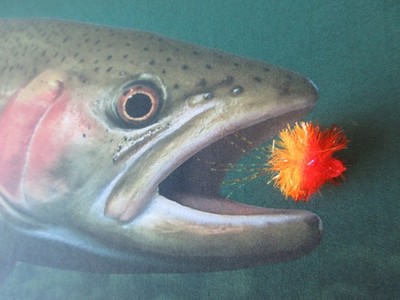 Steelhead/Trout/Salmon - #10 Hook - Fly Fishing Blobs - Multicolor (6 Pcs.)