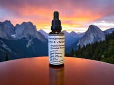 Organic Gentian Tincture (Gentiana lutea) -Botanical Remedies -