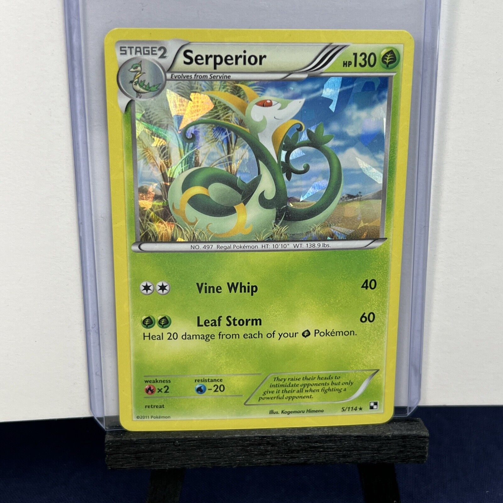 Serperior (5/114) (Cracked Ice Holo) (Theme Deck Exclusive) [Black & W –  High Tide Games