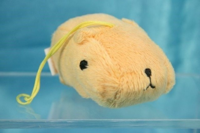 TRYWORKS Capybara-san Kapibarasan Figure Plush Doll Screen Cleane P1 Hot san | eBay