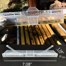 6PCS Small Bee Hive Beetle Blaster BeeHive Trap Beekeeping Tool Plastic USA NEW