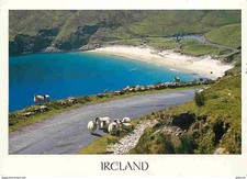 Postcard - Ireland - Sheep - Lake - See Stamp Animals Birds Red Gorg