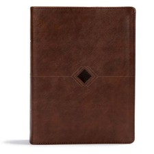 CSB Day-by-Day Chronological Bible, Brown Leathertouch - GOOD