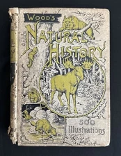 1854 Wood’s Natural History HC 1st American Ed Mammalia 500 Illustrations Animal