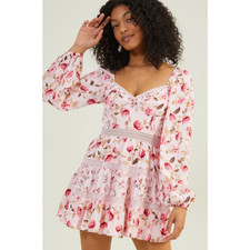 Altard State Dress S Kate Floral Mini Bustier Corset Bodice Pink Cottagecore NEW