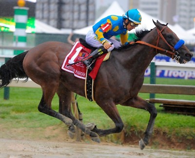 American Pharoah 2015 Preakness Stakes Victory Photo - 8x10, Jockey Victor Espinoza