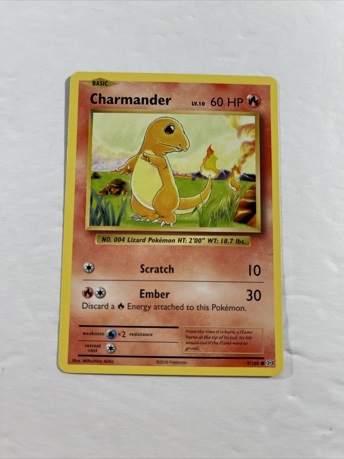 Pokemon XY Evolutions Charmander Near Mint Regular 9/108