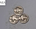 1913+1913-D+1913-S Buffalo Nickel Set/Lot ~ Type 1 ~ ZBL32