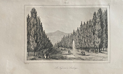 Engraving Chili ''Le TajaMar'' A Santiago (19th Century) Vintage Print