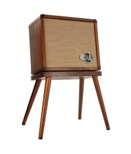 Taylor Circa 74 AV150-10 Acoustic Guitar/Vocal Amplifier with Stand - Mahogany