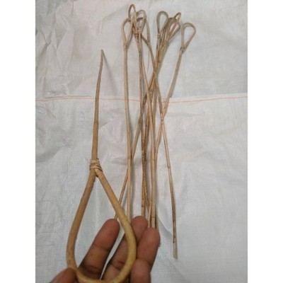 CANE STICK 5PCS Rattan Scholastic Punishment Teachers Headmistress NEW