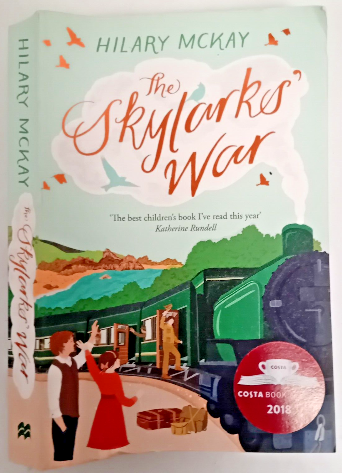 The Skylarks' War by Hilary McKay (Paperback, 2018)