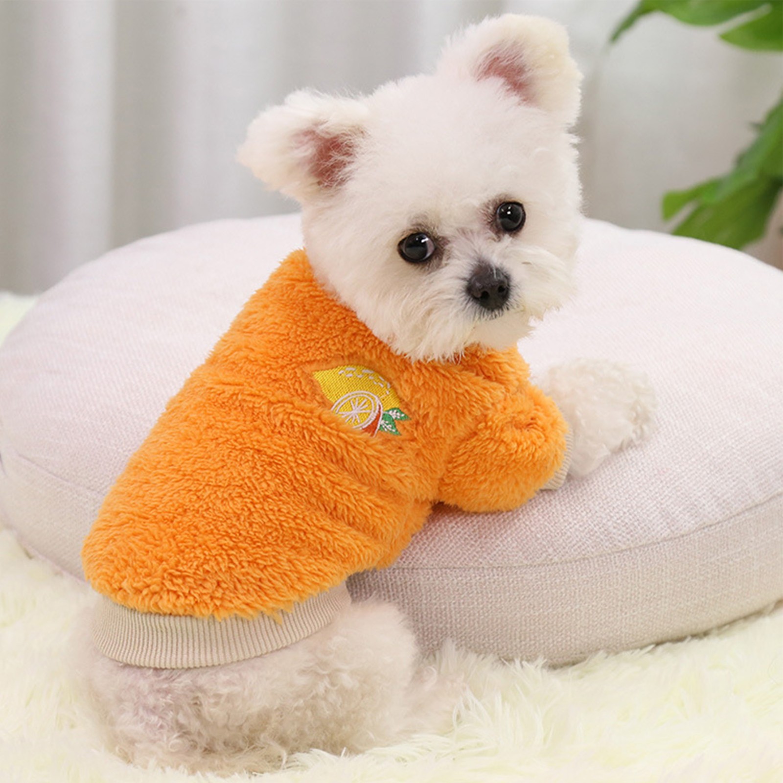 Cozy Puppy Plush Clothes For Winter Warmth For Small Pets Recommended