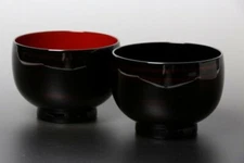Pair Owan Japanese soup bowl Echizen Lacquerware Handcraft Iroha Mutsumi wan
