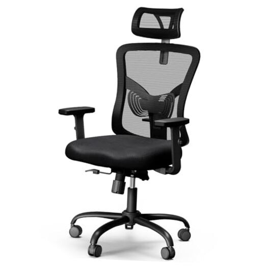 Ergonomic Office Chair, Desk Chair with 2'' Adjustable Lumbar Support, Black-image