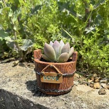 Vintage Wooden Barrel Pot Lightweight Garden Decor Weather Resistant for