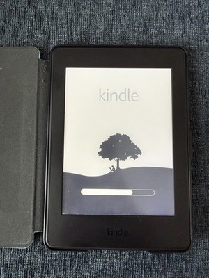 Amazon Kindle Paperwhite 7th Gen 4GB Wi-Fi eBook Reader DP75SDI Reset Tested