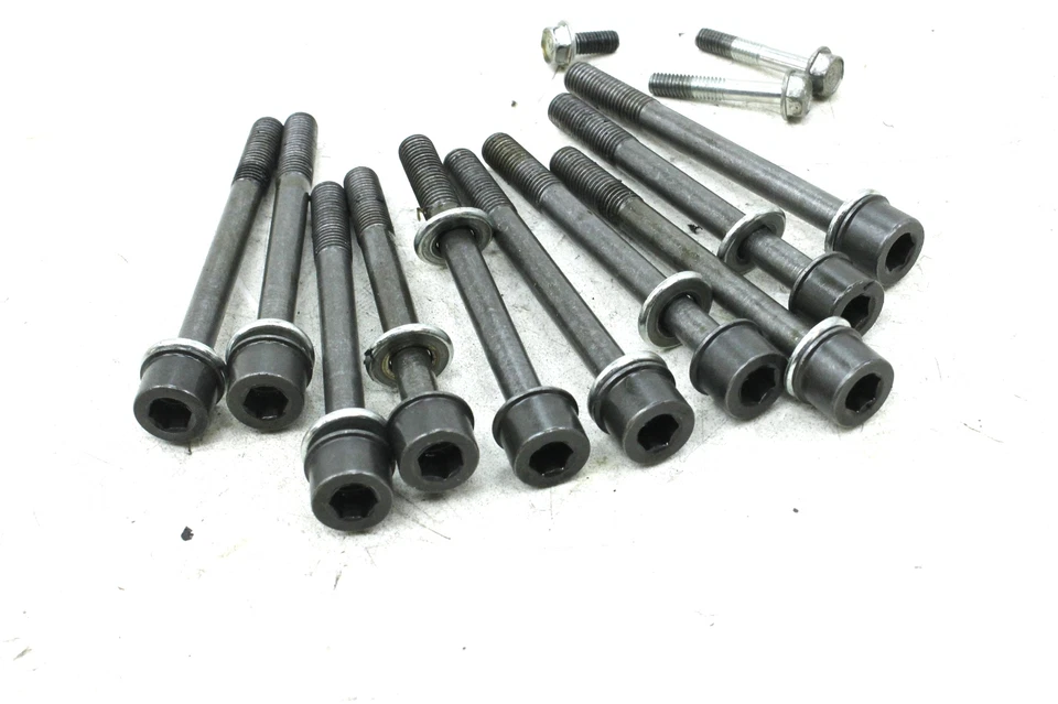 95-98 HONDA CBR600F3 OEM PERNOS DE MONTAJE DE MOTOR HARDWARE TORNILLOS DE MOTOR Foto 4 de 4