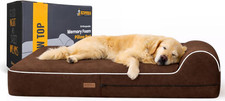 Orthopedic Memory Foam Dog Bed 7" Inch Thick Extra Large Dog Bed with Pillow Bro