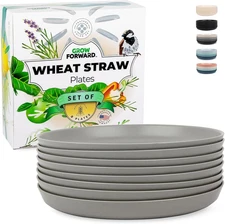Wheat Straw Plates - 10 Inch Reusable Plastic Dinner Plates Set of 8