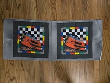Vintage Nascar Jeff Gordon Rainbow Dupont Fabric Panel