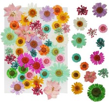 43Pcs Dried Pressed Flowers for Resin, Real Flowers Dry Leaves Bulk Natural H...