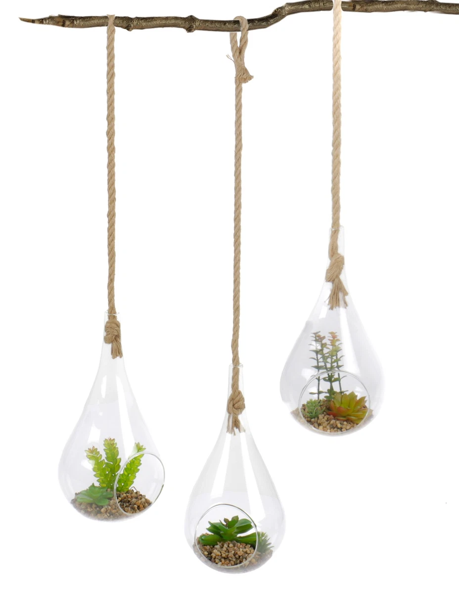 Knstliche Pflanzen im Glas online kaufen | eBay.de