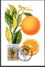 995-  POLYNESIE CARTE   1er JOUR   ORANGE  DE  TAMANU