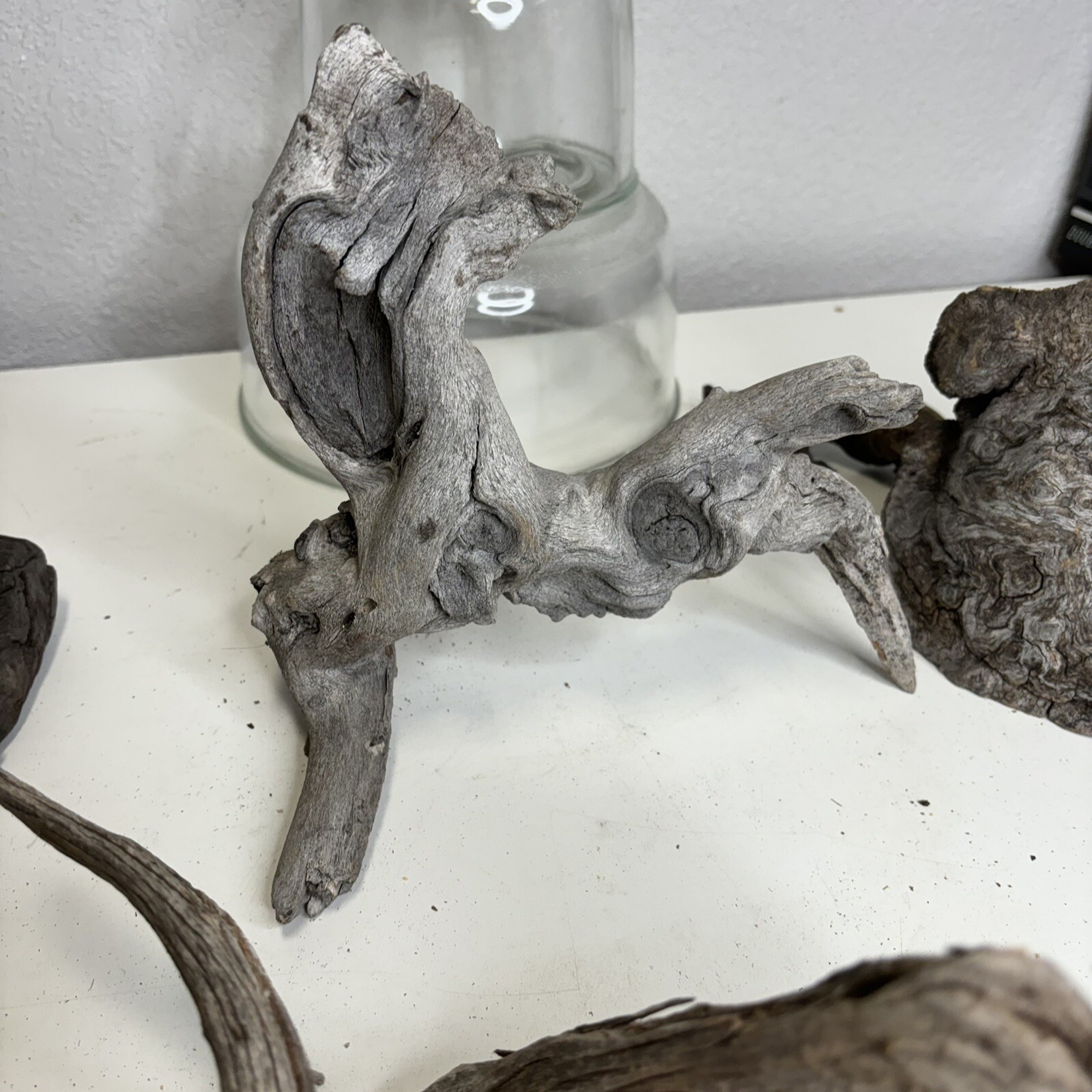 Picture 4 of 6