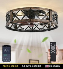 Caged Ceiling Fan 20" with Light, Flush Mount, APP Remote Control, Modern