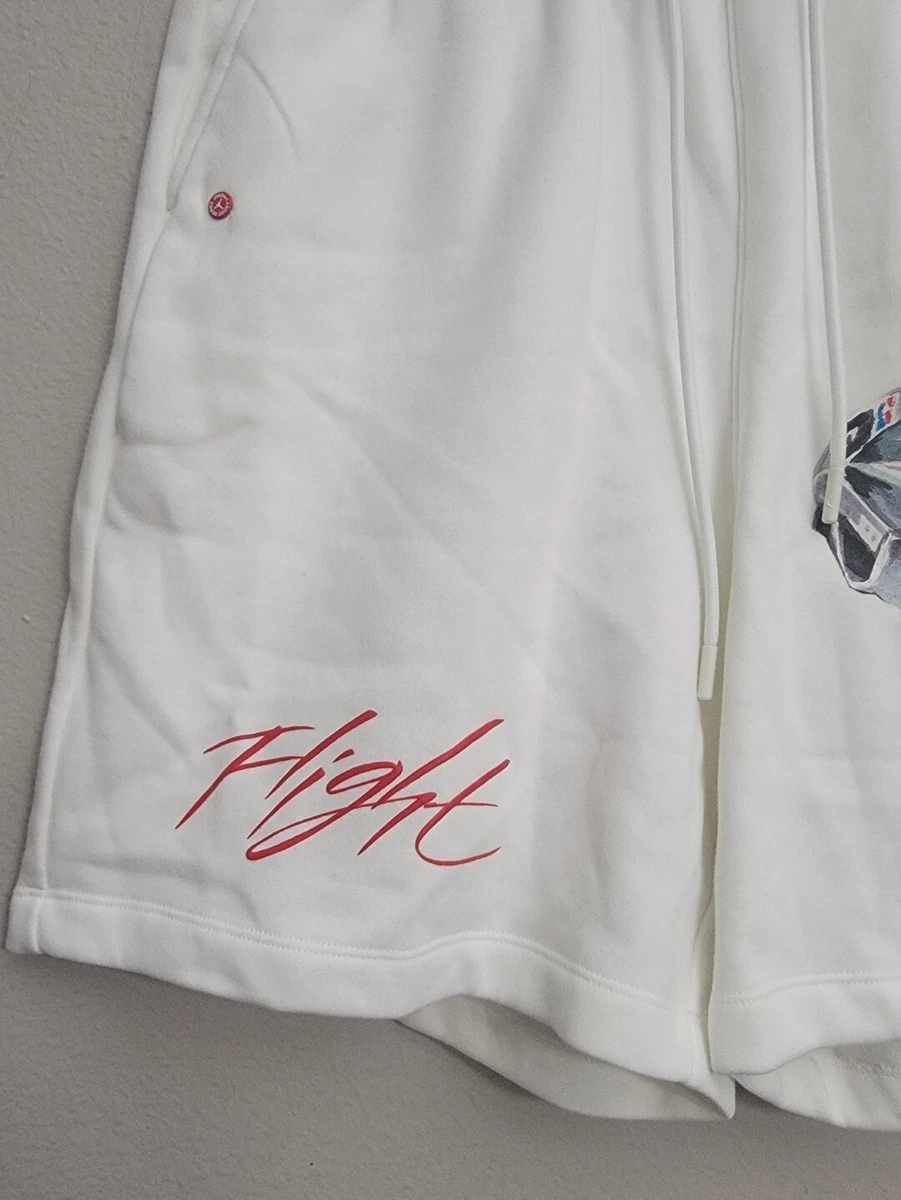 Jordan jumpman flight gfx fleece shorts cheap