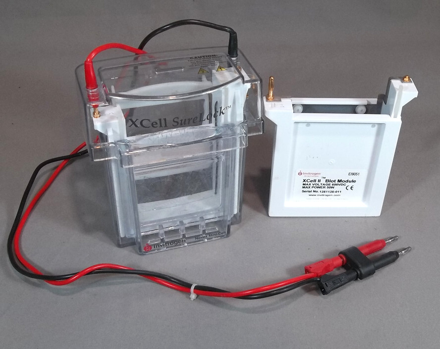 Invitrogen Novex Electrophoresis Mini-Cell Xcell SureLock
