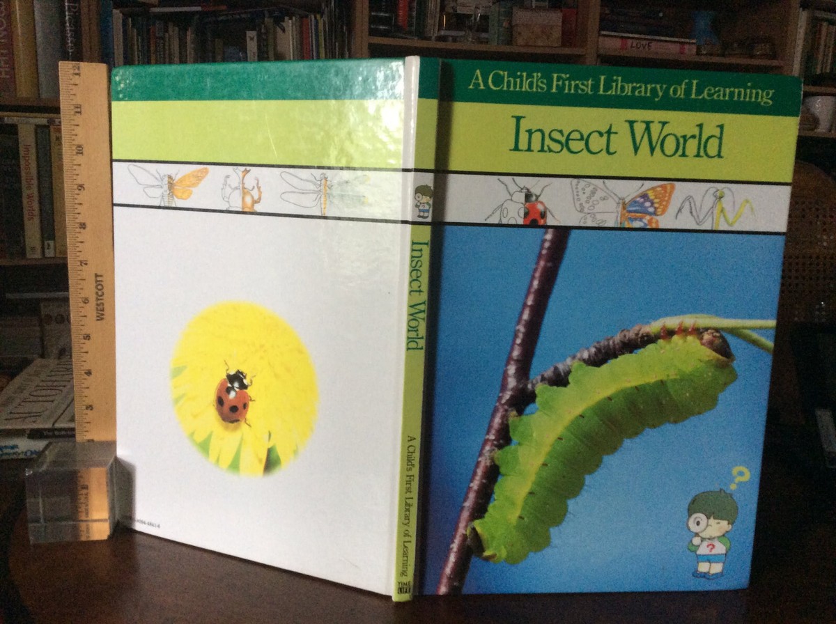 Insect World (A Child's First Library of Learning) 1993 Hardcover