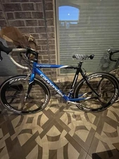 Cannondale Synapse Carbon, Zipp Speed Weaponry