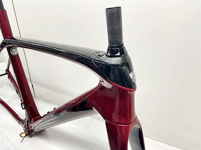 Trek Domane SL5 2020 Carbon Road Frame Set Size 52 Red | eBay