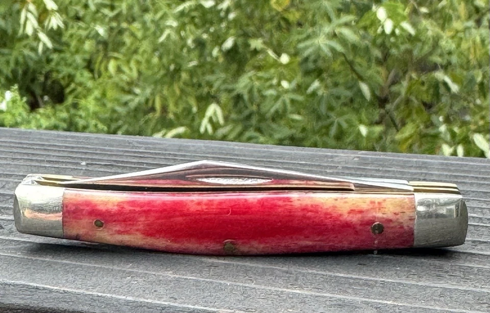 Case XX USA 10 Dot (1980) Smooth Red Appaloosa Bone SR6244 2 Blade Jack Knife. - Image 2 of 4