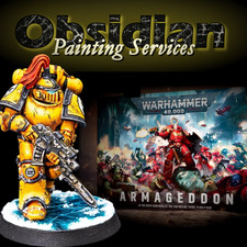 Pro Painted Warhammer 40k Armageddon Box Set - Space Marines