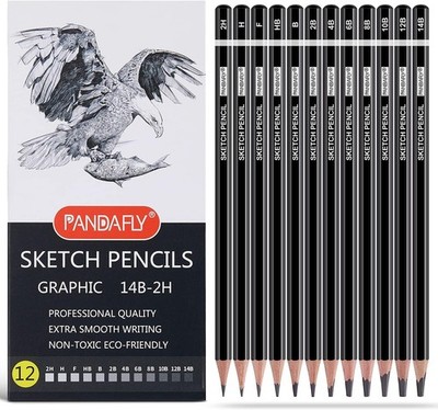 PANDAFLY Professional Drawing Sketching Pencil Set - 12 Pieces Graphite Pencils